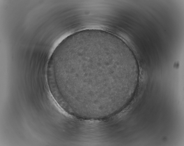 X0000114730804200911121753