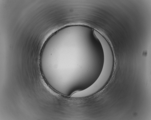 X0000114730805200911121753