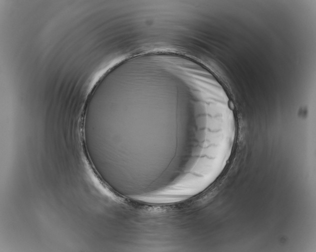X0000114730806200911121753