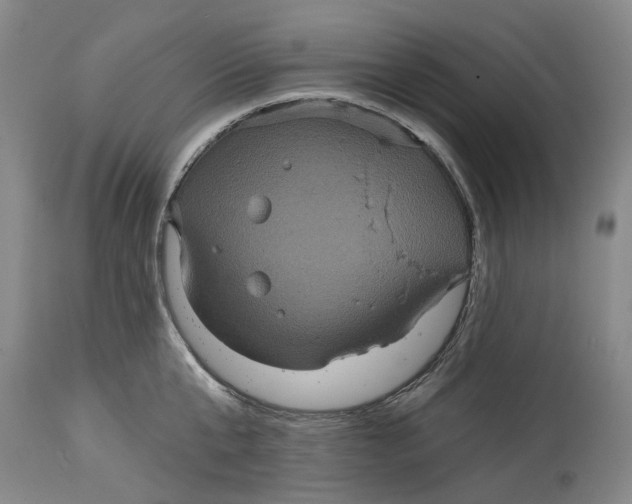 X0000114730807200911121753