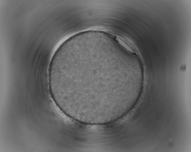 X0000114730808200911121753