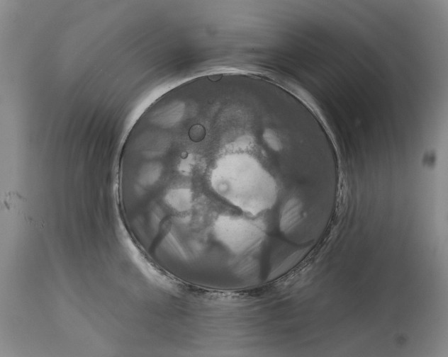 X0000114730811200911121753