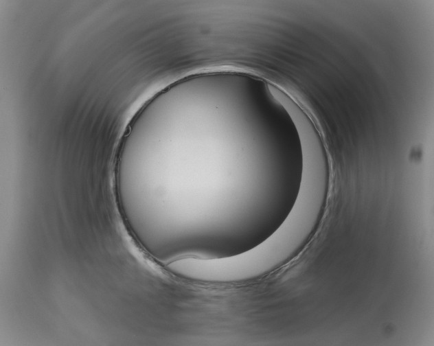 X0000114730813200911121753
