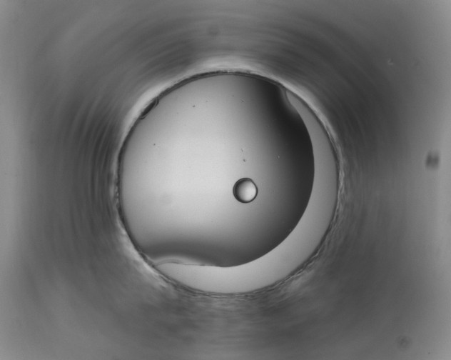 X0000114730815200911121753