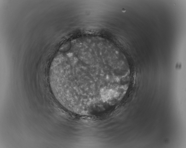 X0000114730817200911121752