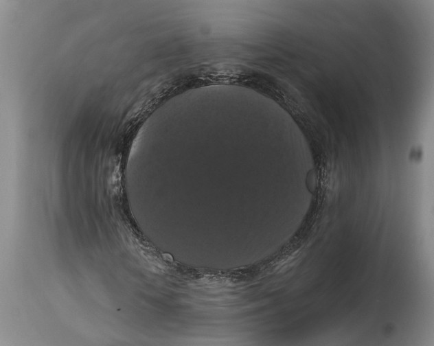 X0000114730818200911121752