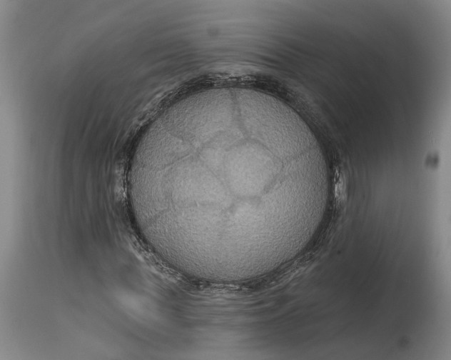X0000114730819200911121752