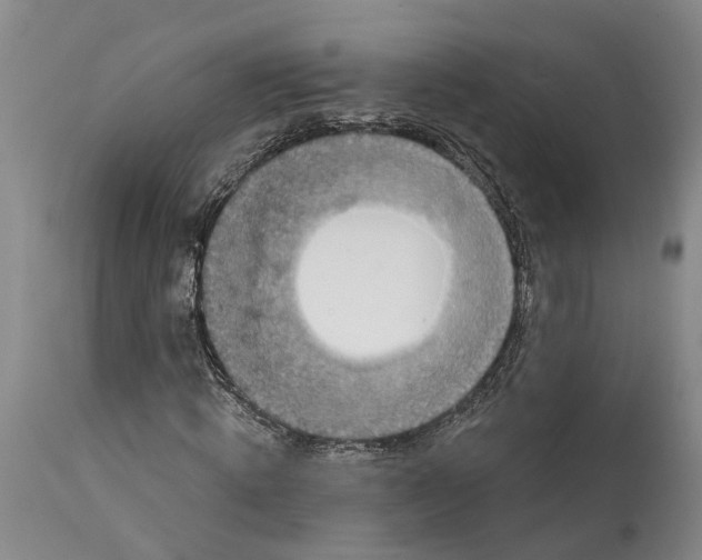 X0000114730820200911121752