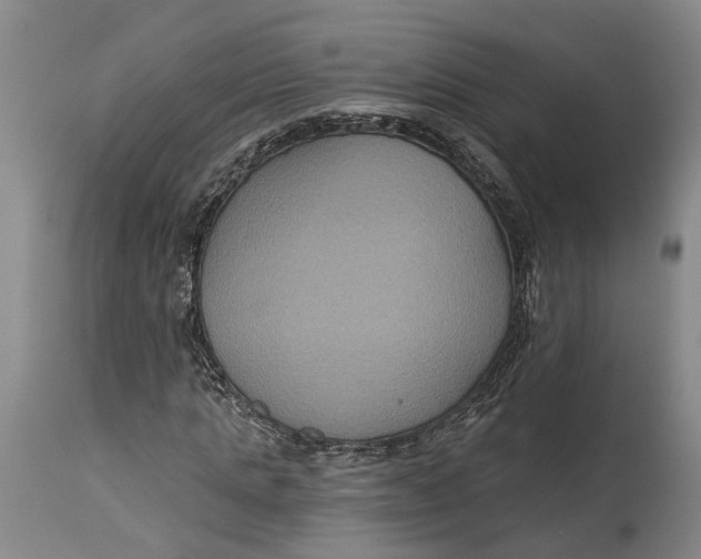 X0000114730821200911121752