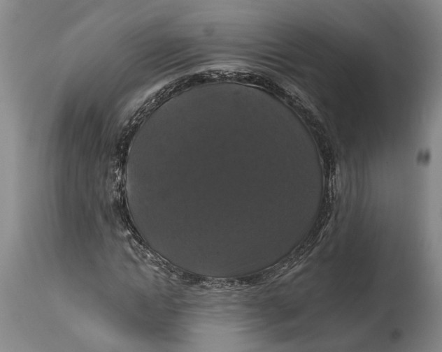 X0000114730822200911121752
