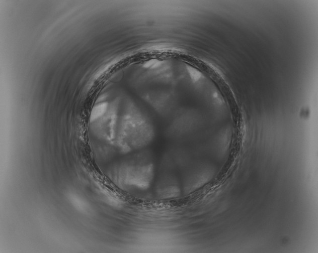 X0000114730823200911121752