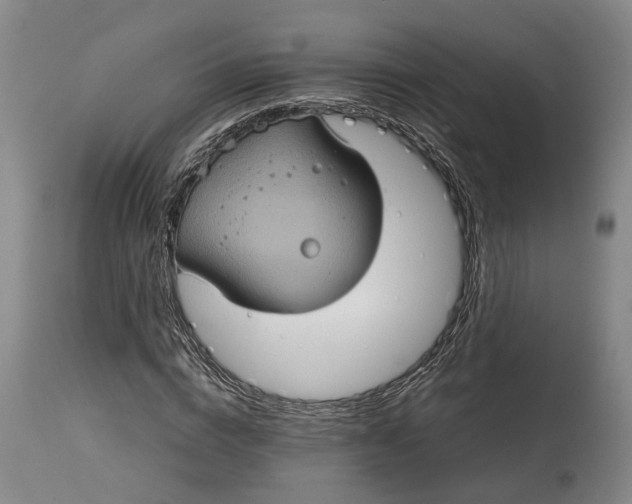 X0000114730824200911121752