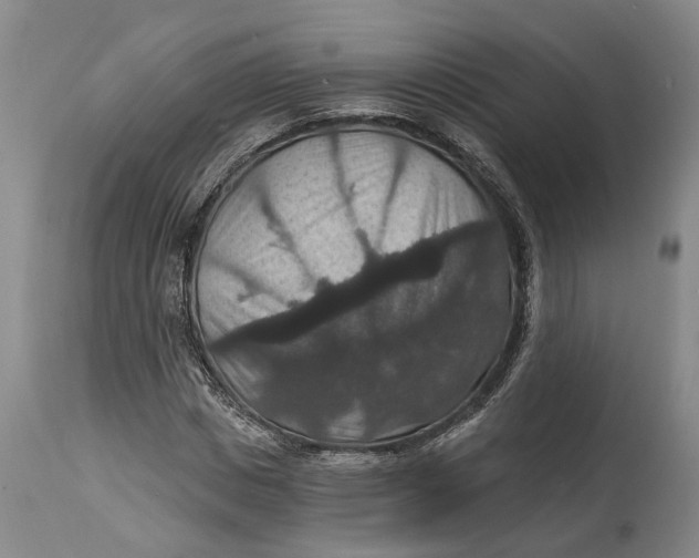 X0000114730825200911121752