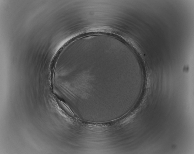 X0000114730830200911121753