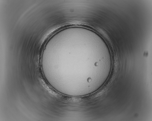 X0000114730831200911121753