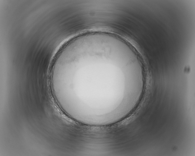 X0000114730832200911121753