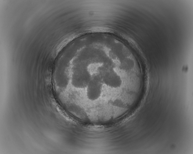 X0000114730833200911121753