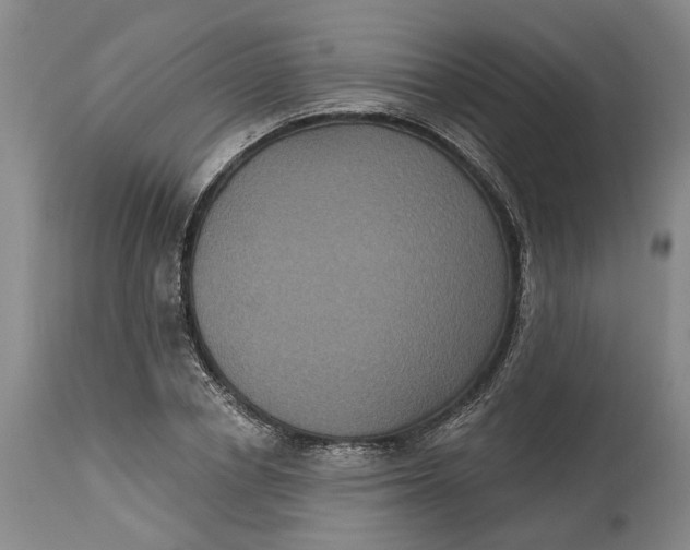 X0000114730834200911121753