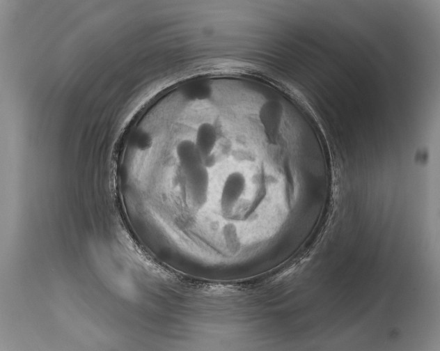 X0000114730835200911121753