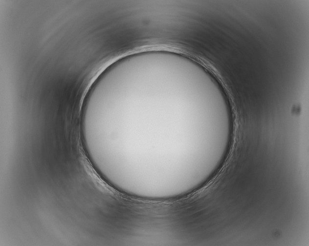 X0000114730836200911121753
