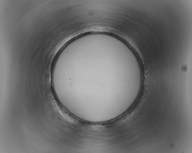 X0000114730837200911121753