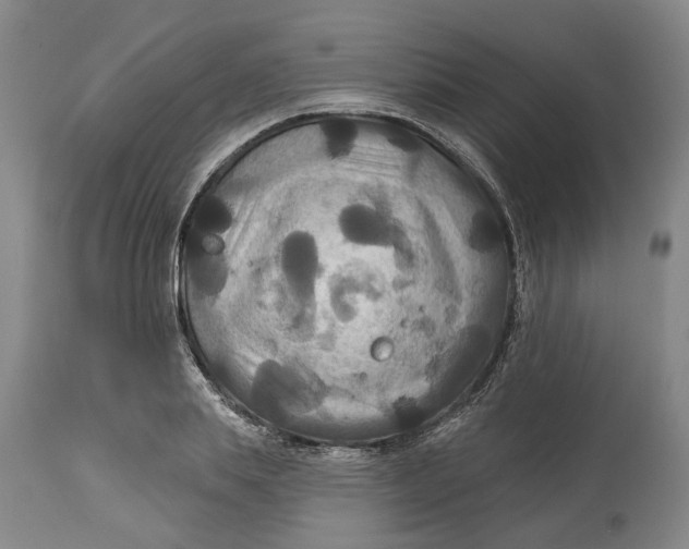 X0000114730839200911121753