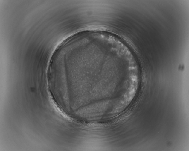 X0000114730840200911121753