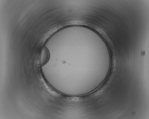 X0000114730841200911121753