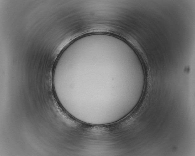 X0000114730842200911121753