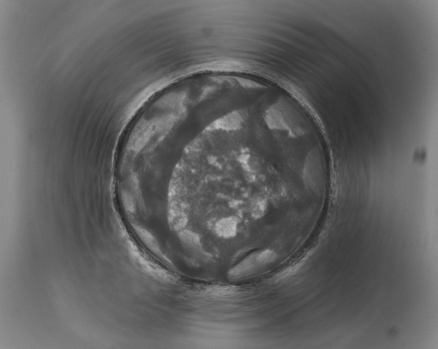 X0000114730845200911121753