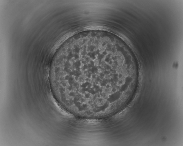 X0000114730849200911121753