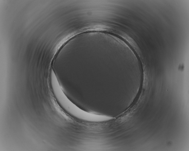 X0000114730850200911121753