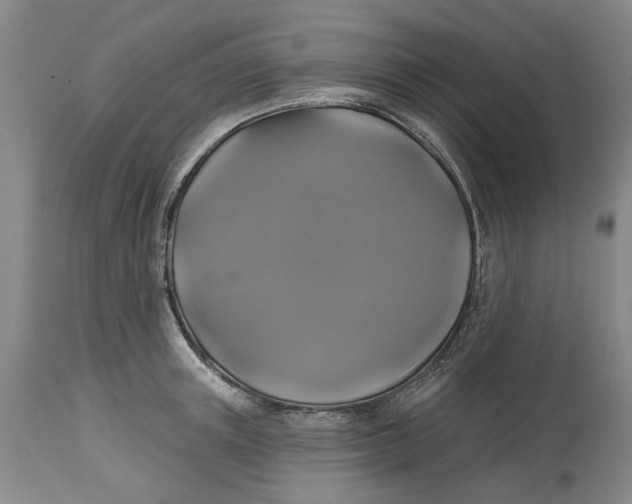 X0000114730851200911121753