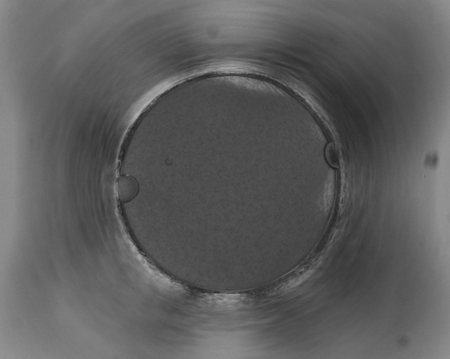 X0000114730853200911121753