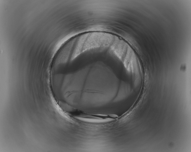 X0000114730854200911121753