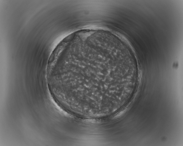 X0000114730855200911121753