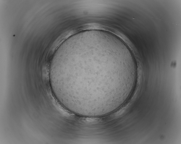 X0000114730857200911121753