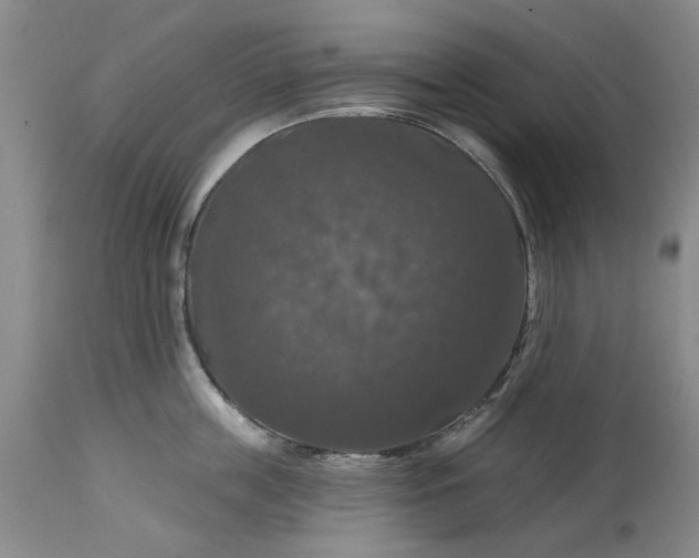 X0000114730859200911121753