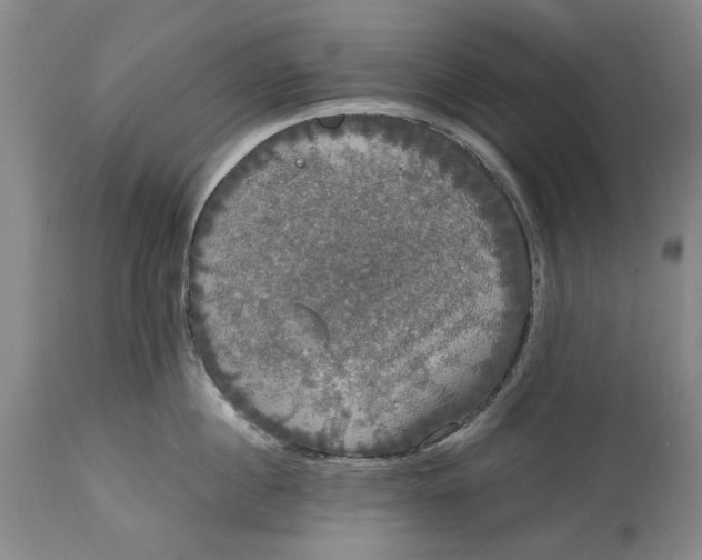 X0000114730860200911121753