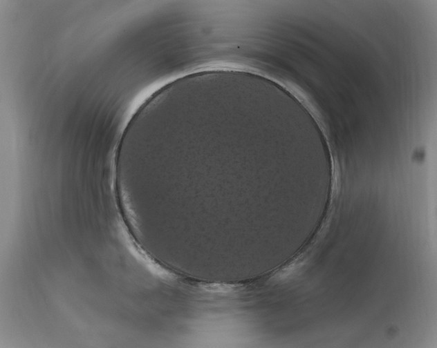 X0000114730862200911121753
