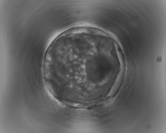 X0000114730863200911121753