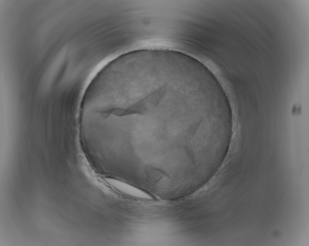X0000114730864200911121753