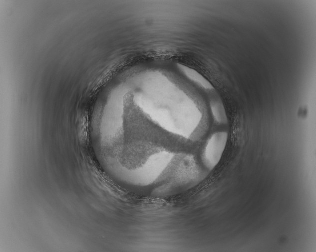 X0000114730866200911121752