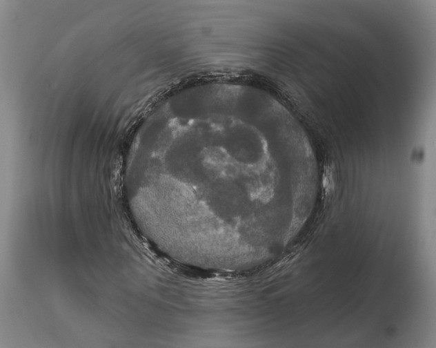 X0000114730867200911121752