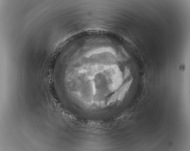 X0000114730870200911121752