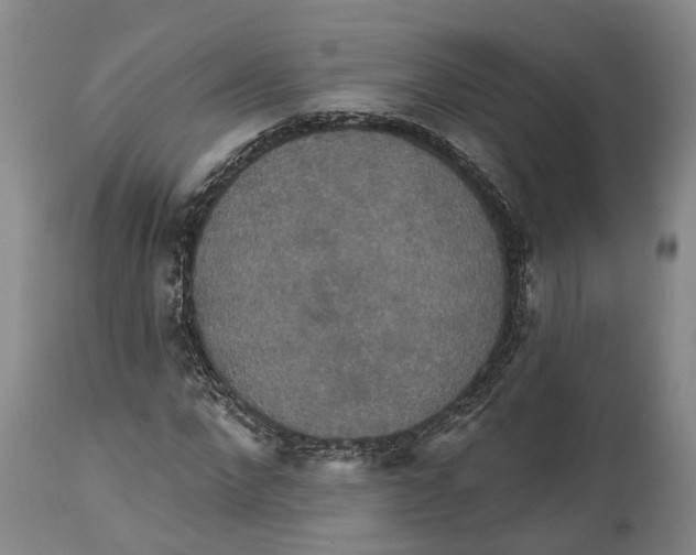 X0000114730872200911121752