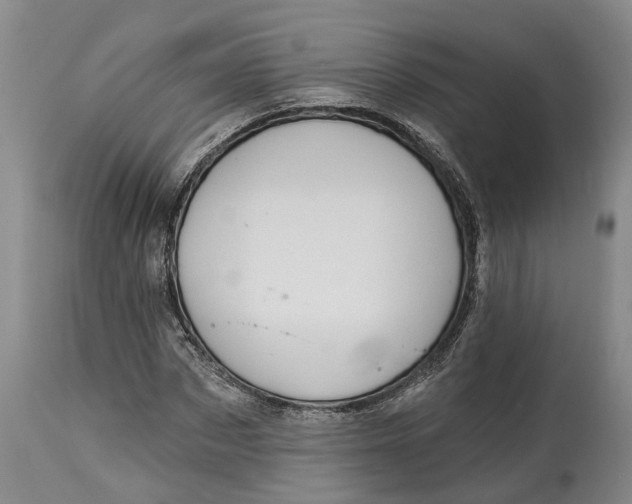 X0000114730873200911121752