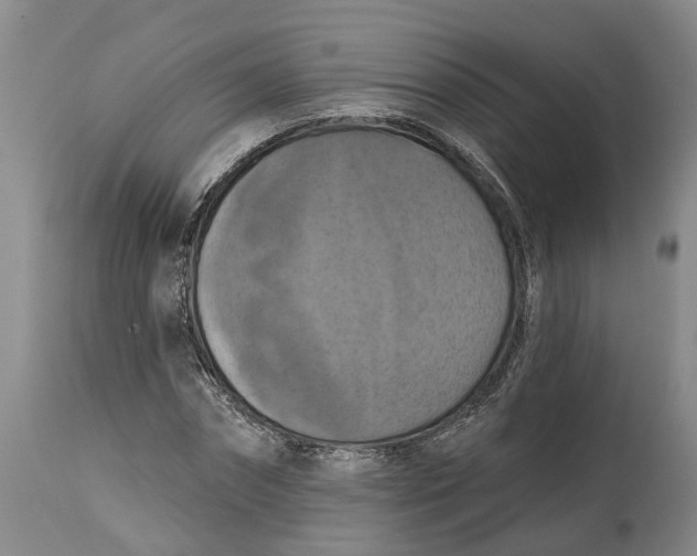 X0000114730874200911121752
