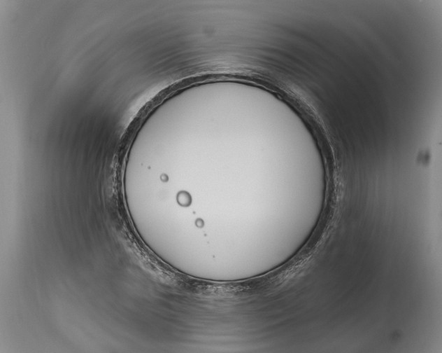 X0000114730875200911121752