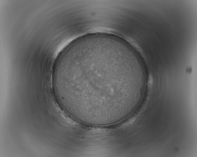 X0000114730877200911121752